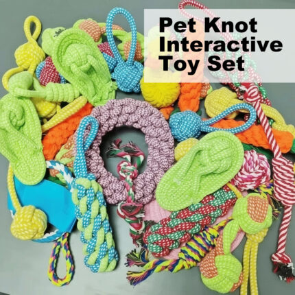 Pet Toy